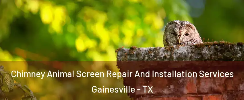  Chimney Animal Screen Repair And Installation Services Gainesville - TX