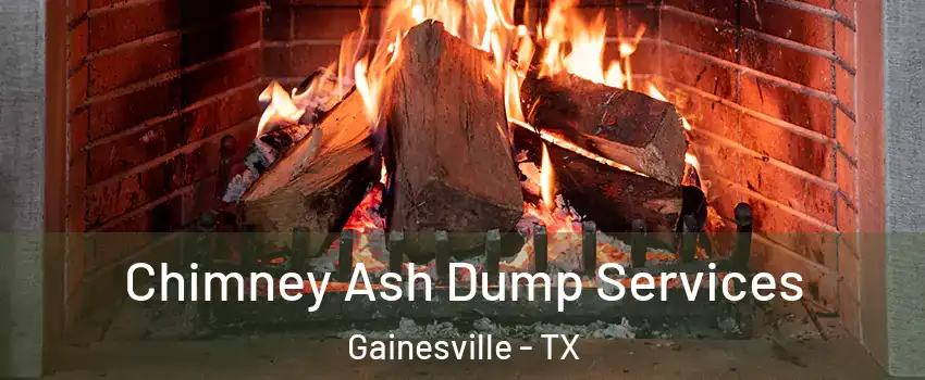  Chimney Ash Dump Services Gainesville - TX