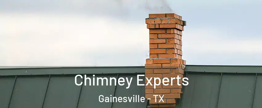  Chimney Experts Gainesville - TX