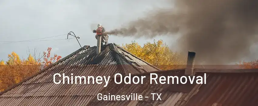  Chimney Odor Removal Gainesville - TX