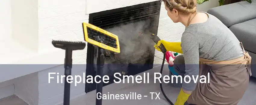  Fireplace Smell Removal Gainesville - TX