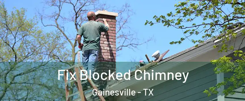  Fix Blocked Chimney Gainesville - TX
