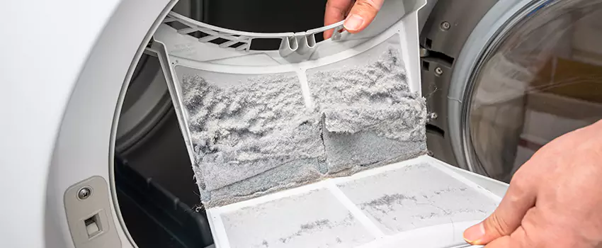 Best Dryer Lint Removal Company in Gainesville, Texas