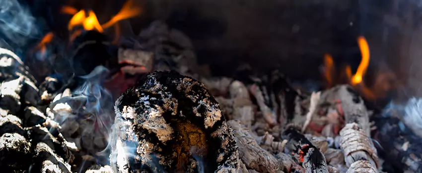 Creosote Removal Experts in Gainesville, TX