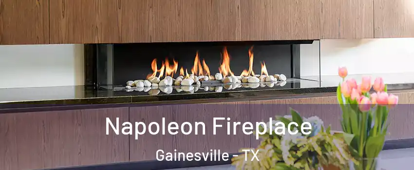  Napoleon Fireplace Gainesville - TX